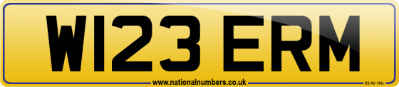 W123 ERM