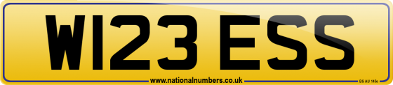 W123 ESS