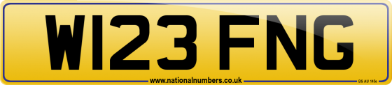 W123 FNG