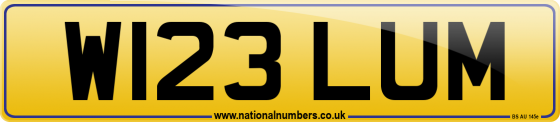 W123 LUM