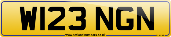 W123 NGN