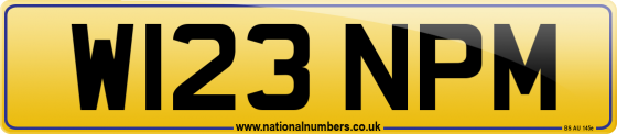 W123 NPM