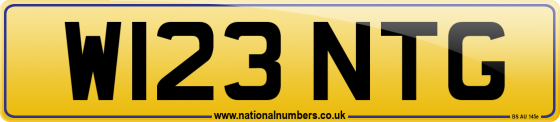 W123 NTG