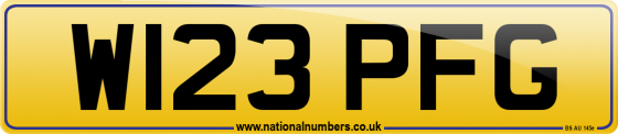 W123 PFG