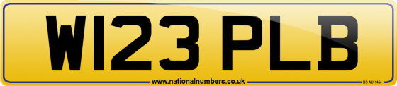 W123 PLB