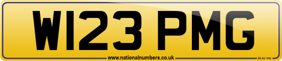 W123 PMG