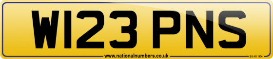 W123 PNS
