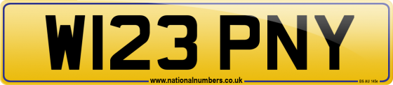W123 PNY