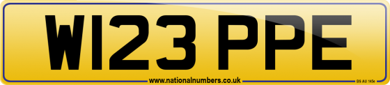 W123 PPE