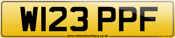 W123 PPF