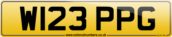 W123 PPG