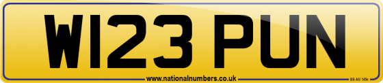 W123 PUN