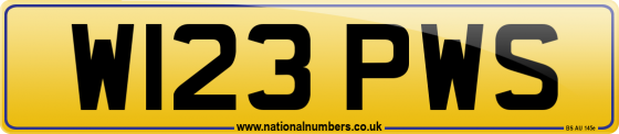 W123 PWS