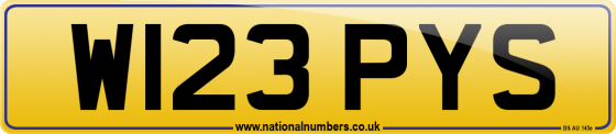 W123 PYS