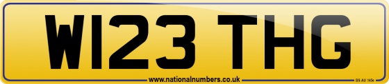 W123 THG