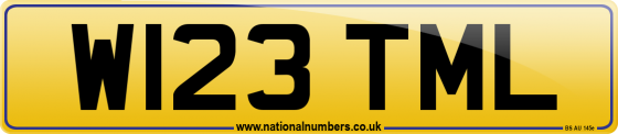 W123 TML