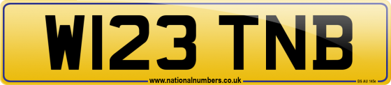 W123 TNB