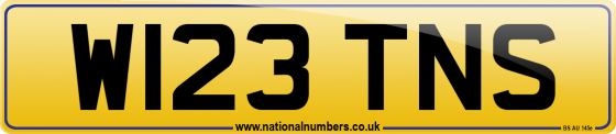 W123 TNS