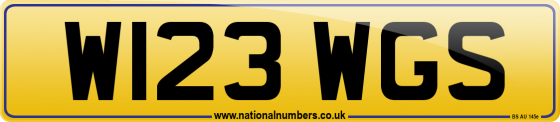 W123 WGS