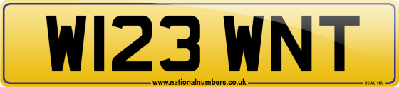 W123 WNT