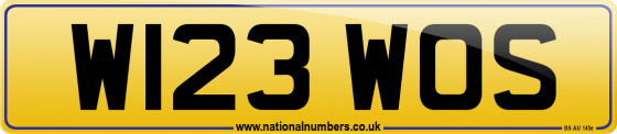 W123 WOS