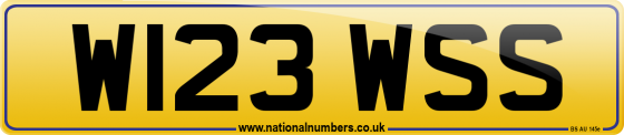 W123 WSS