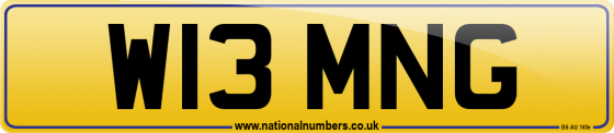 W13 MNG