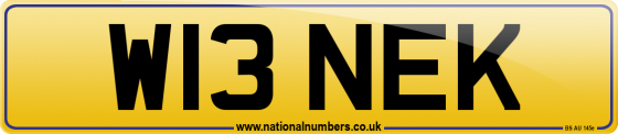 W13 NEK