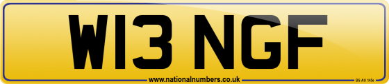 W13 NGF