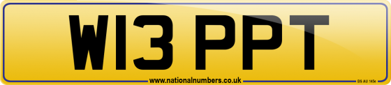 W13 PPT