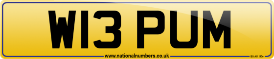 W13 PUM