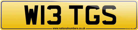 W13 TGS