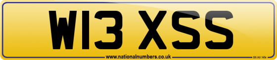 W13 XSS