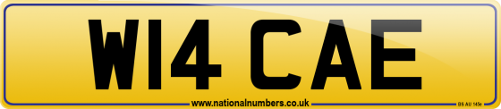 W14 CAE