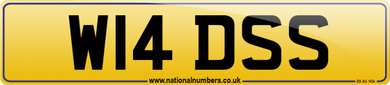 W14 DSS