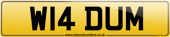 W14 DUM