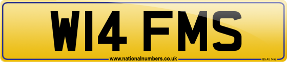 W14 FMS