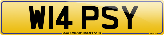 W14 PSY