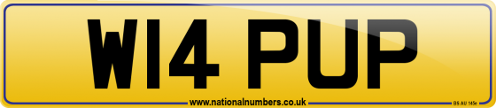 W14 PUP