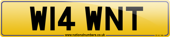 W14 WNT