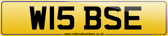 W15 BSE