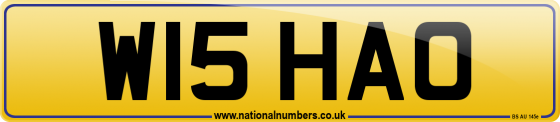 W15 HAO