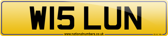 W15 LUN