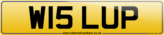 W15 LUP