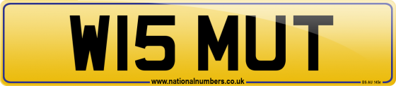 W15 MUT