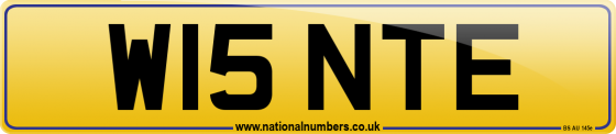 W15 NTE