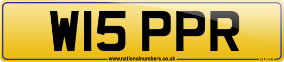 W15 PPR