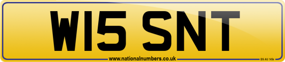 W15 SNT