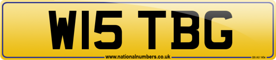 W15 TBG