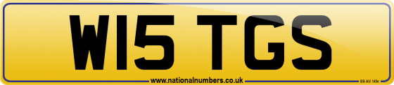 W15 TGS